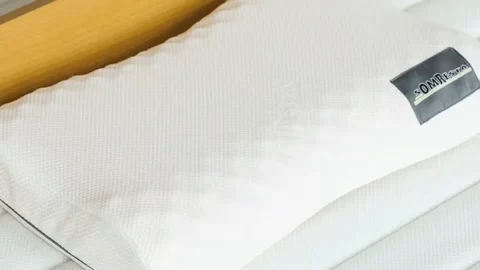 ソムレスタのピロー